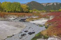 Камчатка Долина гейзеров, кальдера вулкана Узон и путь к ним по воздуху Здешние сентябрьские цвета